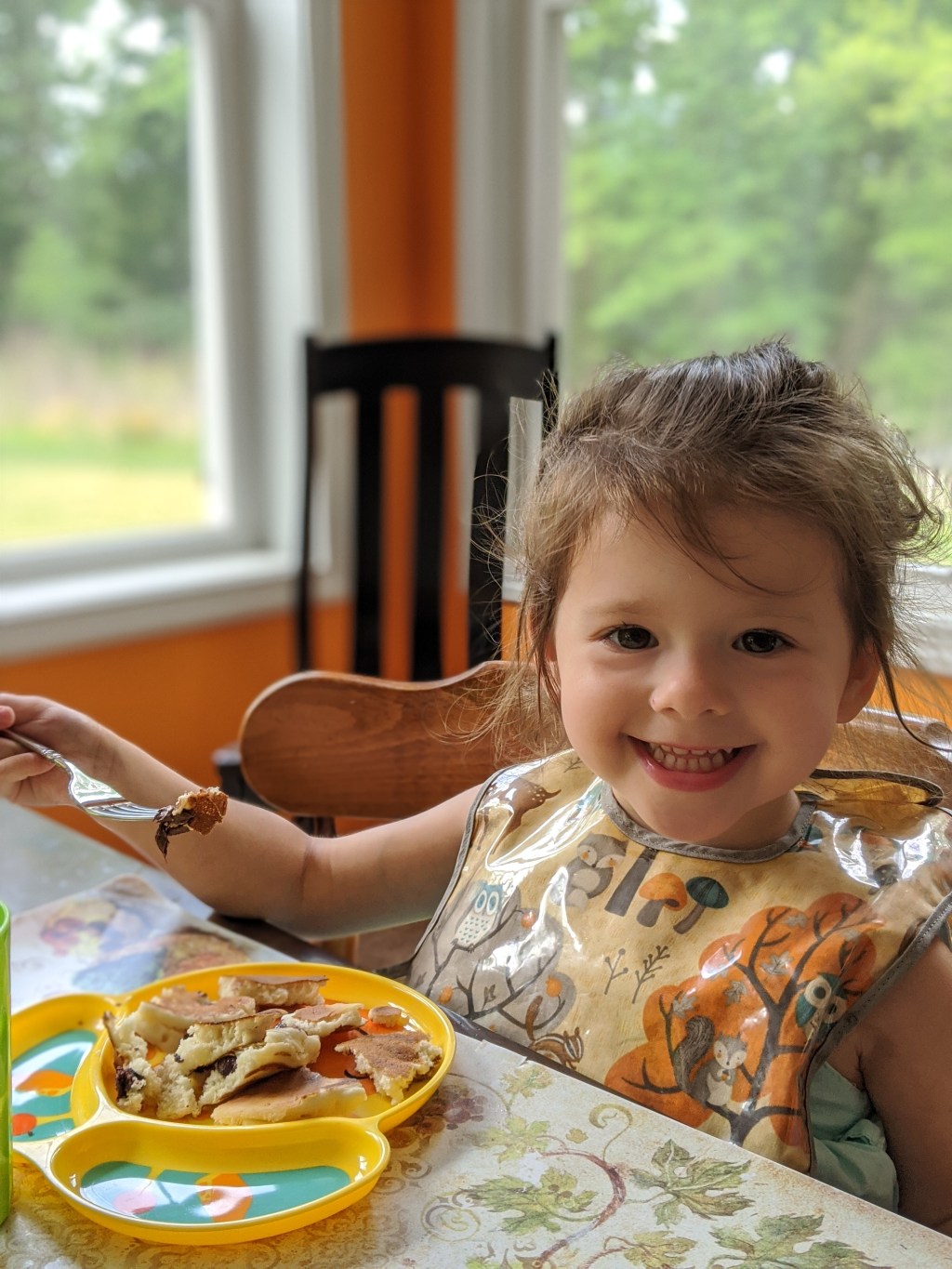 Understanding the Voice